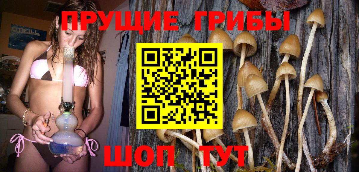 Галлюциногенные грибы Cubensis Кузнецк